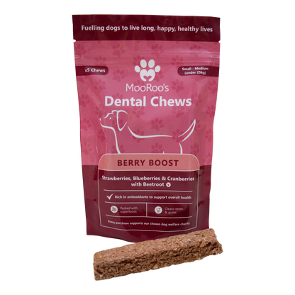 MooRoo's - Berry Boost Dental Chews Sticks (Small - Medium Dogs)