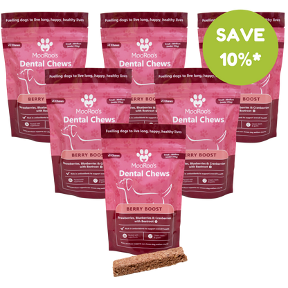 MooRoo's - Berry Boost Dental Chews Sticks (Small-Medium, Large-Extra Large Dogs)