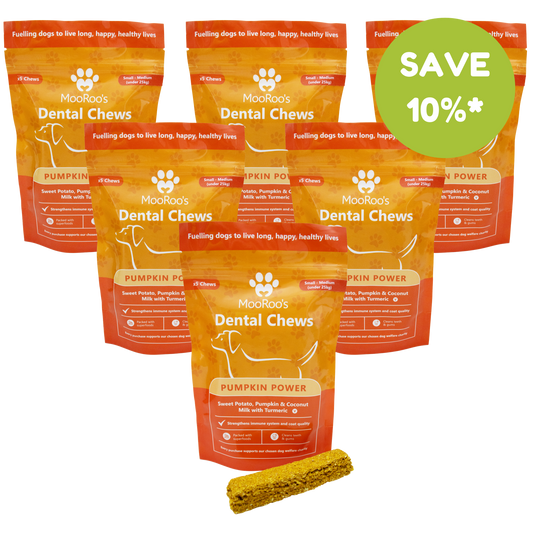 MooRoo's - Pumpkin Power Dental Chews Sticks (Small-Medium, Large-Extra Large Dogs)